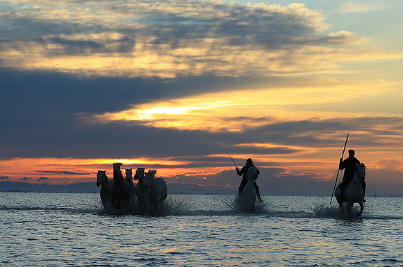 Sunrise - Camargue