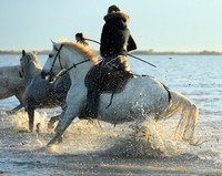 Sunrise - Camargue