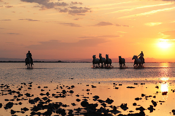 Sunrise - Camargue