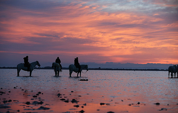 Camargue