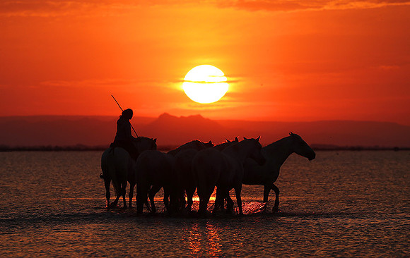 Sunrise - Camargue