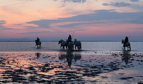 Sunrise - Camargue