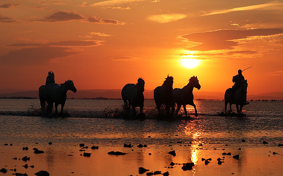 Sunrise - Camargue