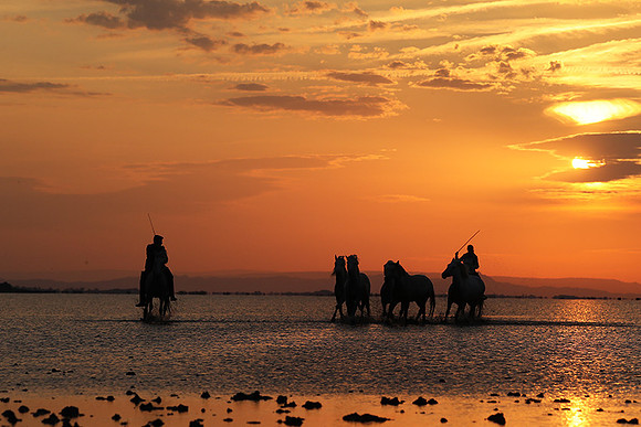 Sunrise - Camargue