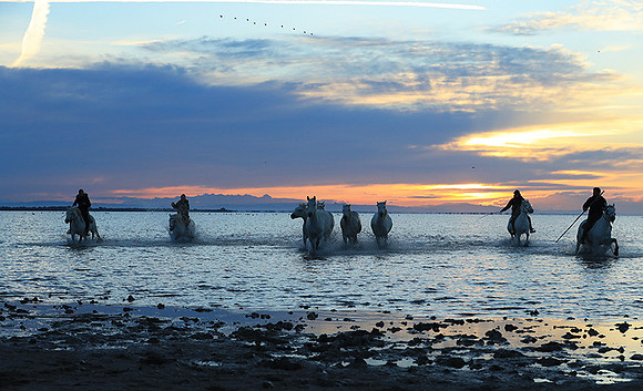 Sunrise - Camargue