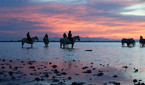 Camargue