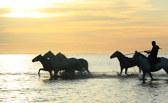 Sunrise - Camargue