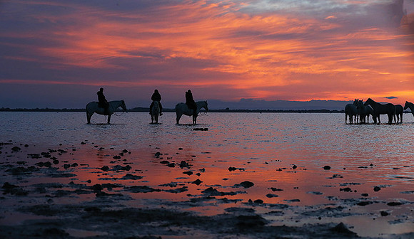 Camargue