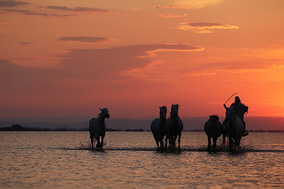 Sunrise - Camargue