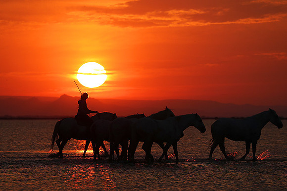 Sunrise - Camargue