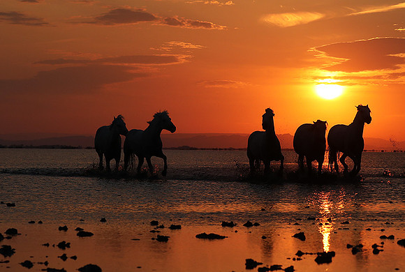 Sunrise - Camargue