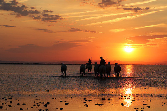 Sunrise - Camargue