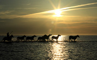 Sunrise - Camargue