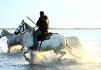 Sunrise - Camargue