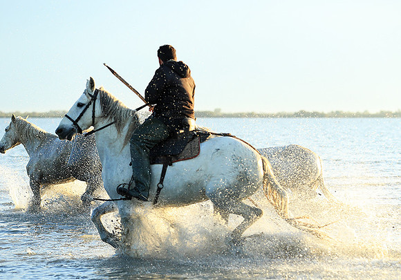 Sunrise - Camargue