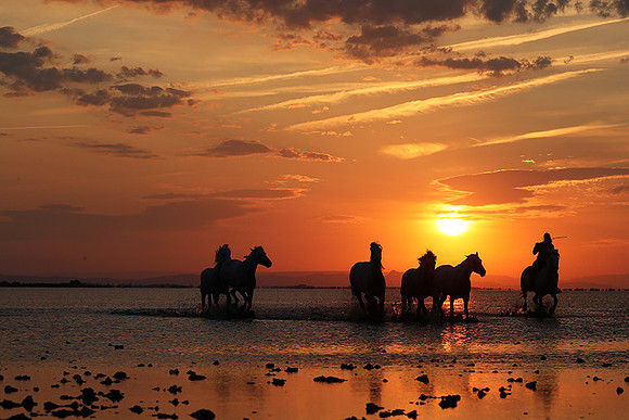 Sunrise - Camargue
