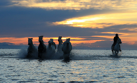 Sunrise - Camargue