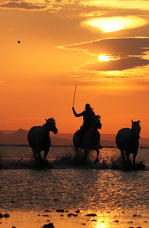 Sunrise - Camargue