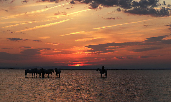 Sunrise - Camargue