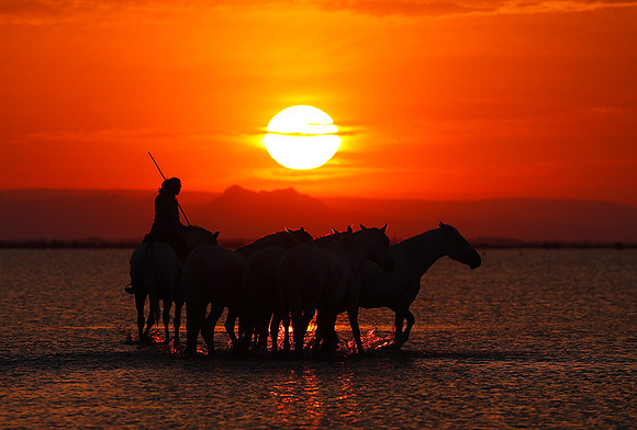 Sunrise - Camargue