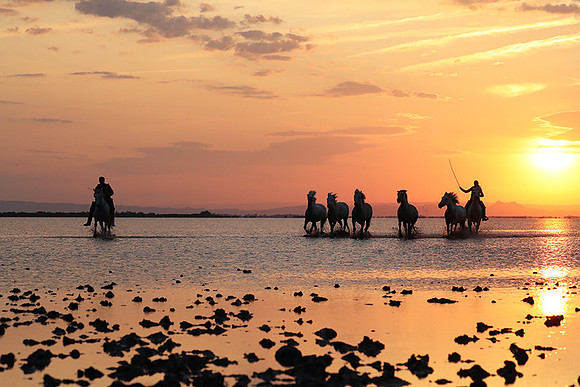 Sunrise - Camargue
