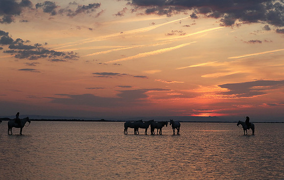 Sunrise - Camargue