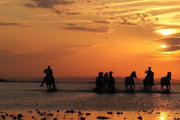 Sunrise - Camargue