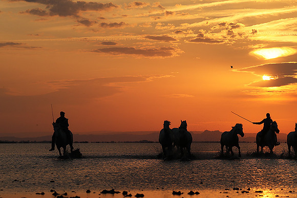 Sunrise - Camargue