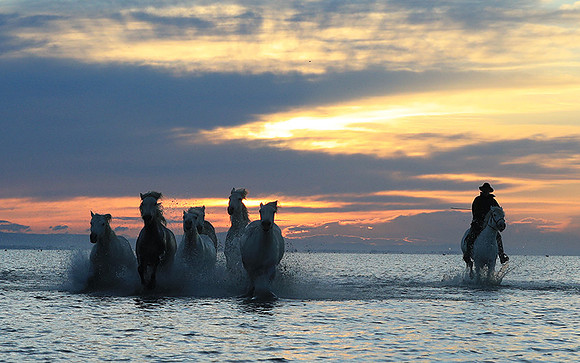 Sunrise - Camargue