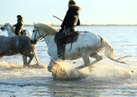 Sunrise - Camargue
