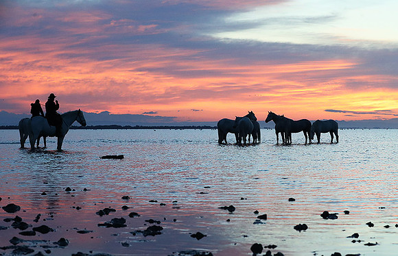 Camargue