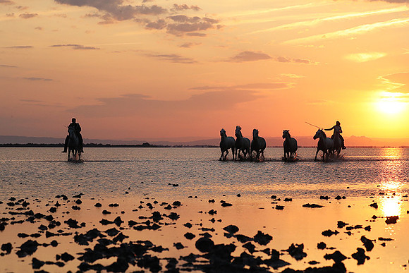 Sunrise - Camargue