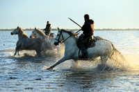 Sunrise - Camargue