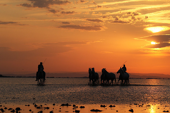 Sunrise - Camargue