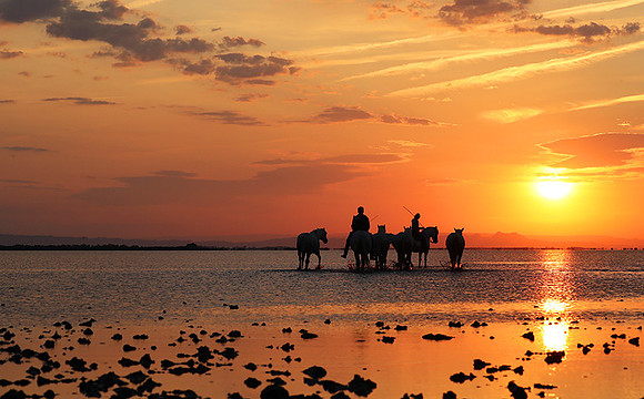 Sunrise - Camargue