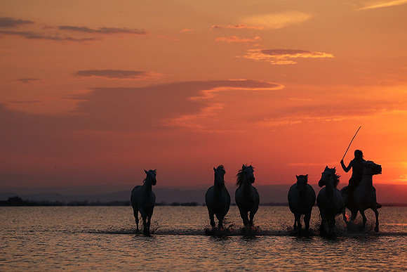 Sunrise - Camargue
