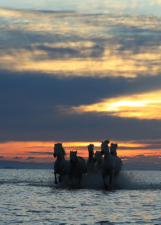 Sunrise - Camargue