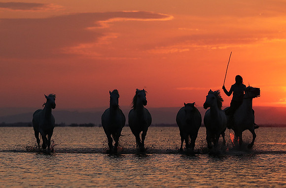 Sunrise - Camargue