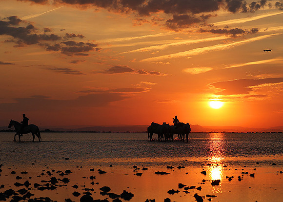 Sunrise - Camargue