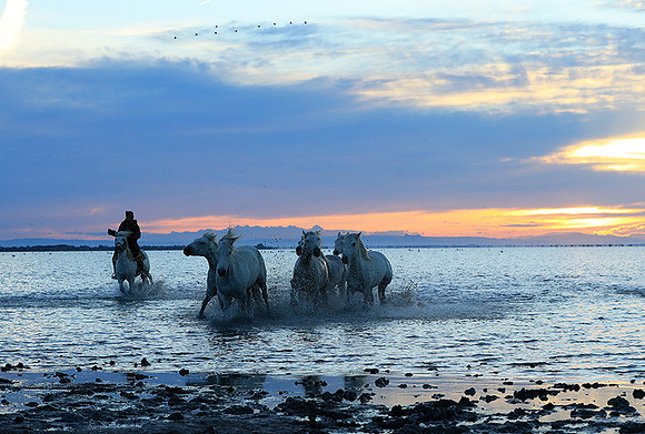 Sunrise - Camargue