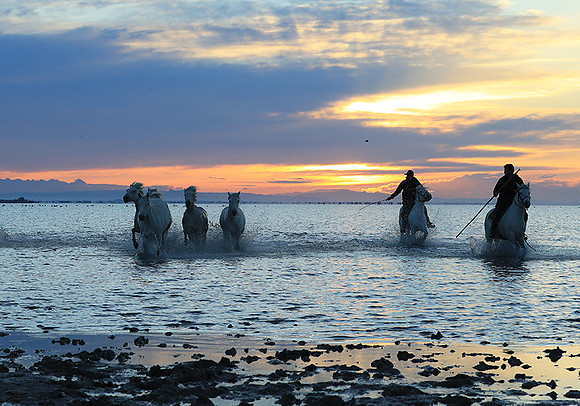 Sunrise - Camargue