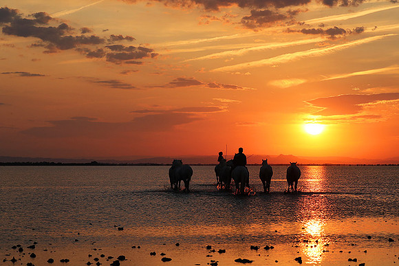 Sunrise - Camargue