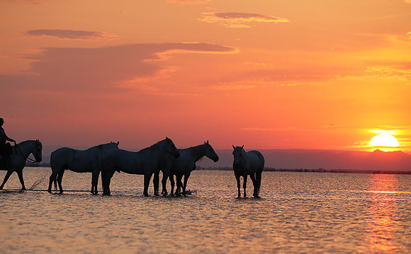 Sunrise - Camargue
