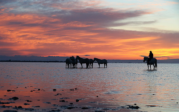 Camargue