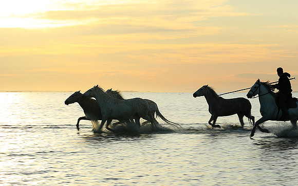 Sunrise - Camargue