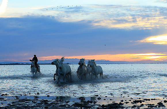 Sunrise - Camargue