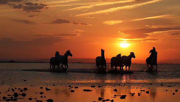 Sunrise - Camargue
