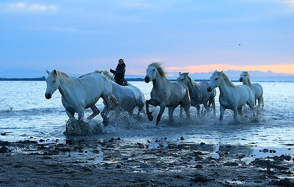 Sunrise - Camargue