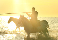 Sunrise - Camargue