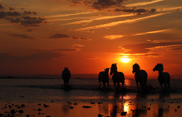 Sunrise - Camargue